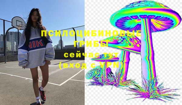 прущие грибы Абаза