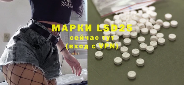 прущие грибы Абаза