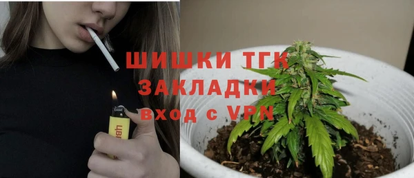 прущие грибы Абаза