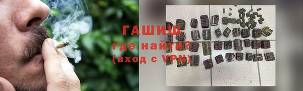 прущие грибы Абаза