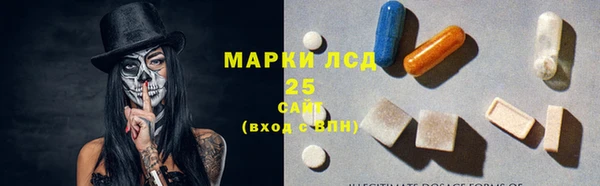 прущие грибы Абаза