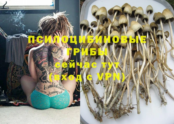 трава Абинск