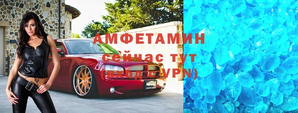 прущие грибы Абаза