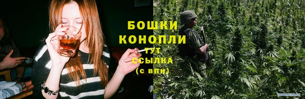прущие грибы Абаза