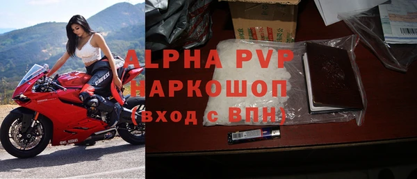 прущие грибы Абаза
