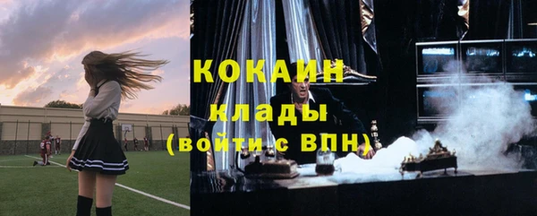прущие грибы Абаза