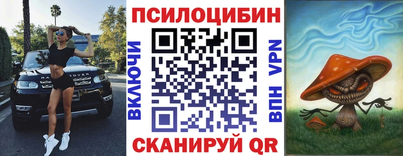 blacksprut ТОР  где можно купить   Тарко-Сале  Псилоцибиновые грибы Psilocybine cubensis 